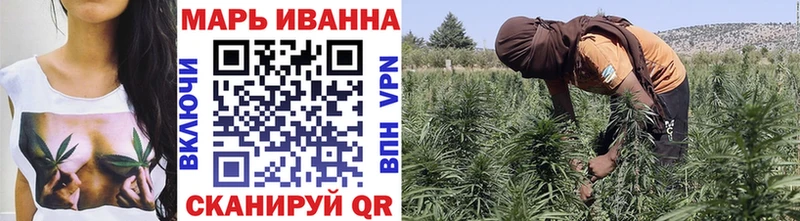 Конопля сатива  Юрьевец 